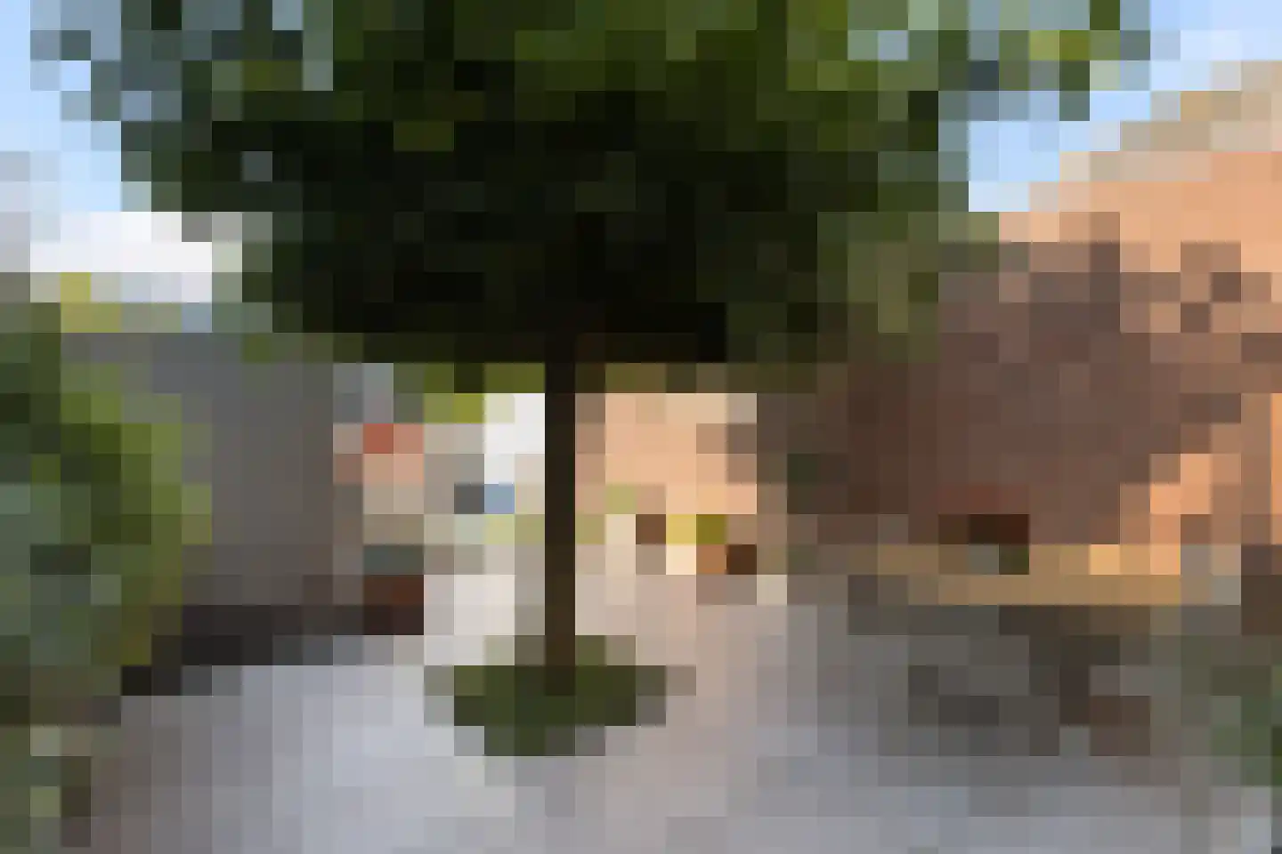 Noordvliet 50 Maassluis thumbnail 28