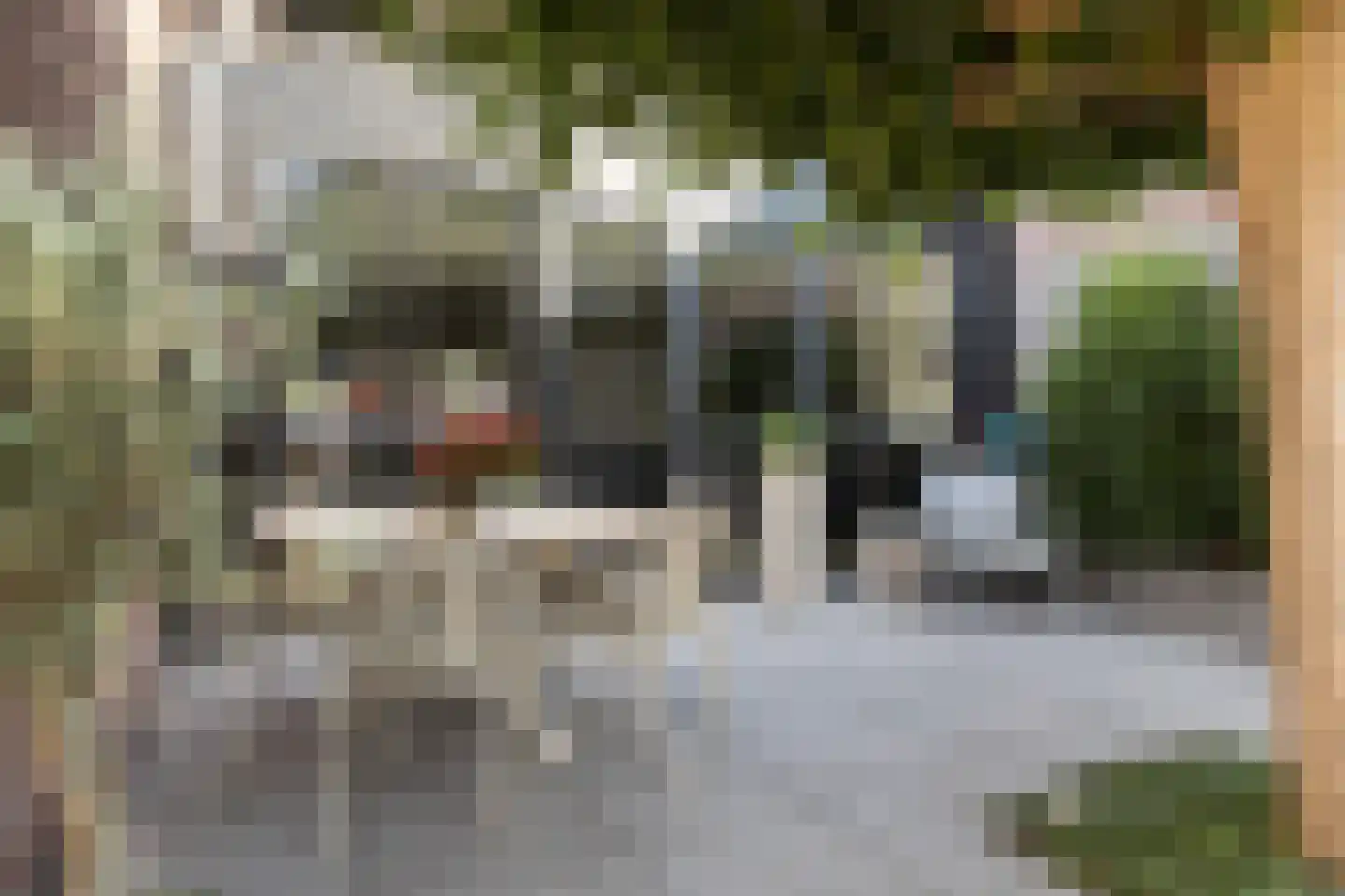 Noordvliet 50 Maassluis thumbnail 29