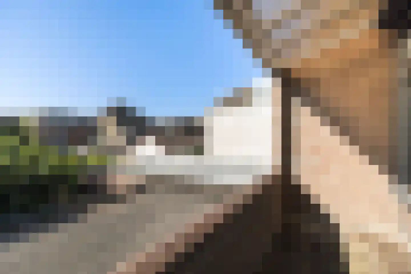Noordvliet 50 Maassluis thumbnail 42