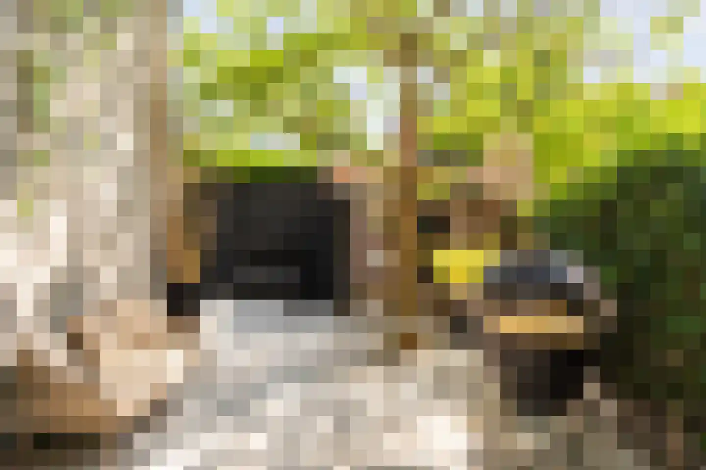 Noordvliet 8 Maassluis thumbnail 26
