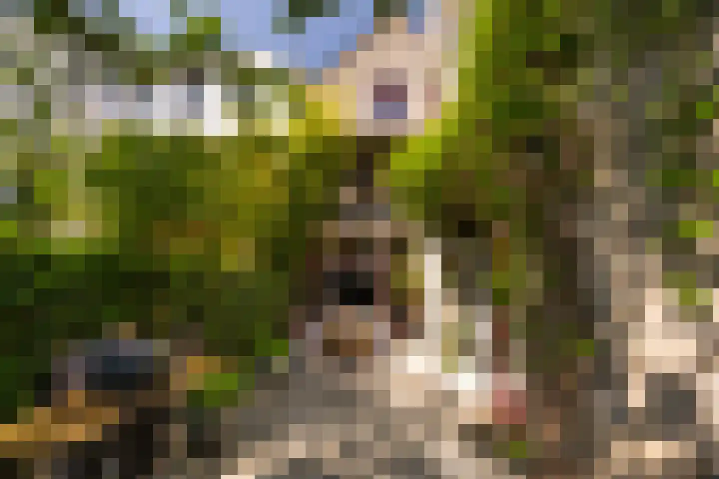 Noordvliet 8 Maassluis thumbnail 27