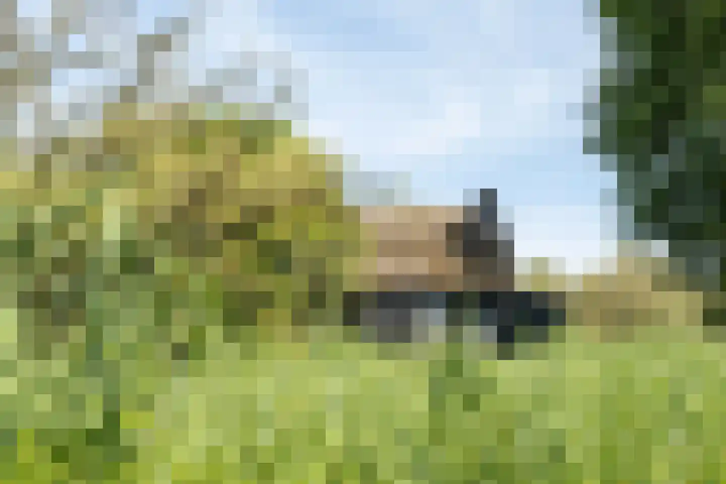 Noordwaardweg 2 Werkendam thumbnail 10