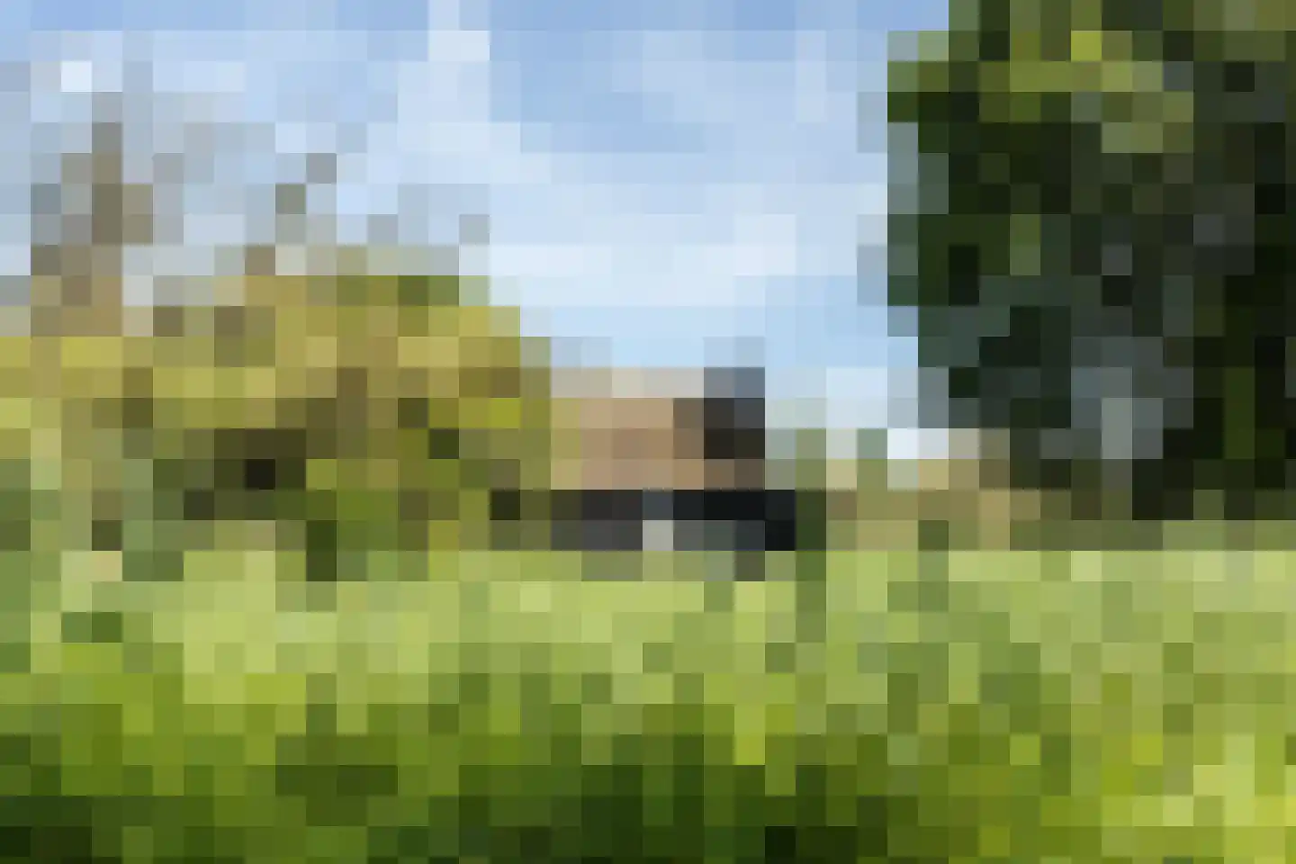 Noordwaardweg 2 Werkendam thumbnail 11