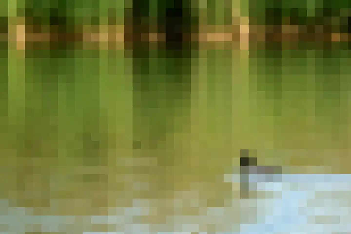 Noordwaardweg 2 Werkendam thumbnail 23