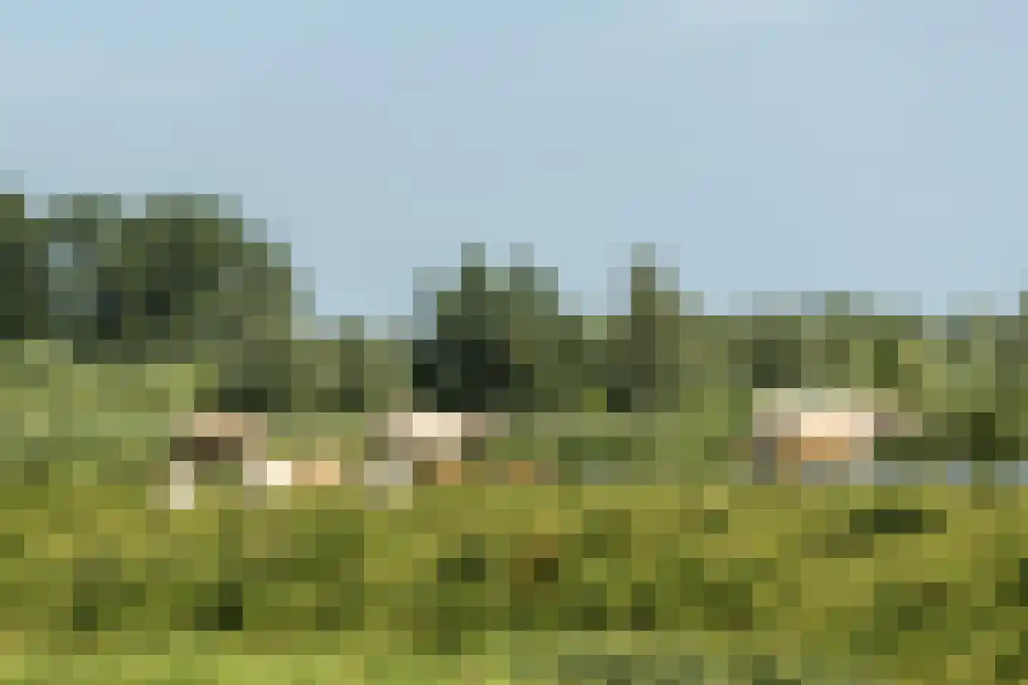 Noordwaardweg 2 Werkendam thumbnail 26