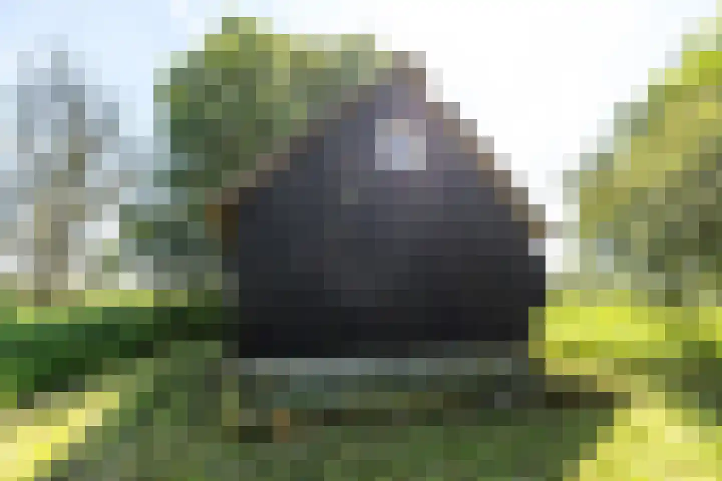 Noordwaardweg 2 Werkendam thumbnail 6