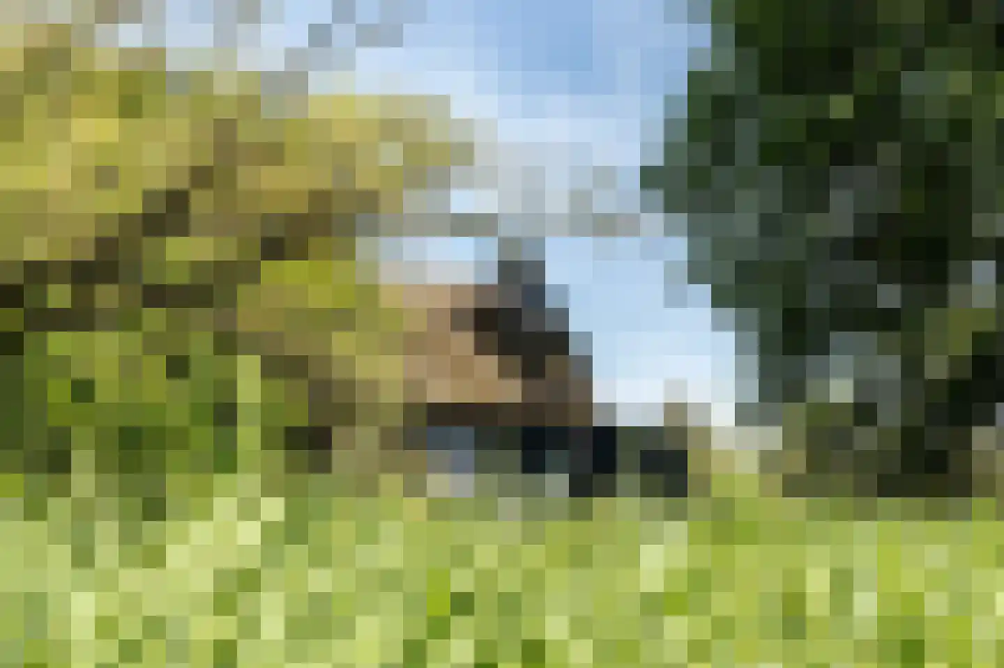 Noordwaardweg 2 Werkendam thumbnail 9