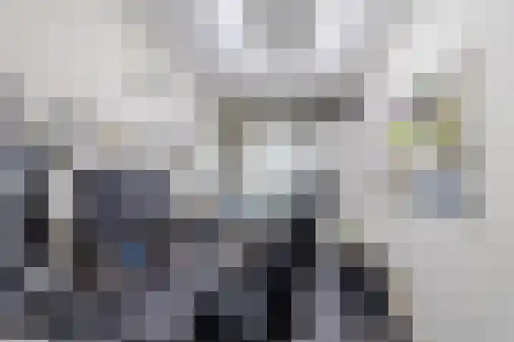 Noordwaarts 132 Zoetermeer thumbnail 24