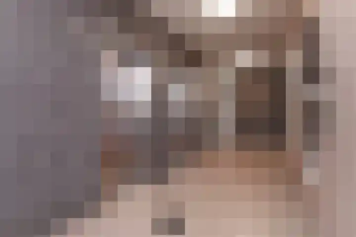 Noordwaarts 166 Zoetermeer thumbnail 7