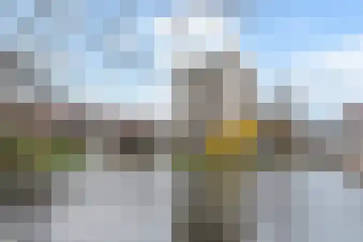 Noordwaarts 172 Zoetermeer thumbnail 39