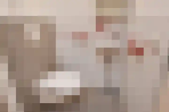 Noordwaarts 172 Zoetermeer thumbnail 8