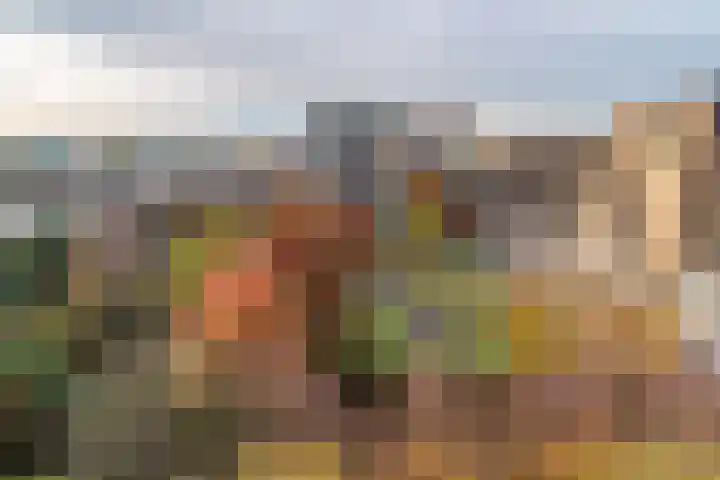 Noordwaarts 94 Zoetermeer thumbnail 10