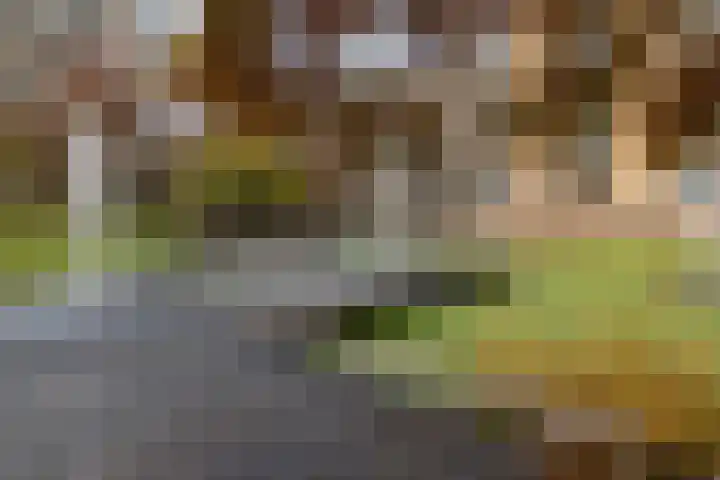 Noordwaarts 94 Zoetermeer thumbnail 30