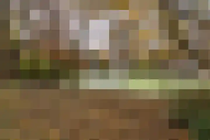 Noordwaarts 94 Zoetermeer thumbnail 31