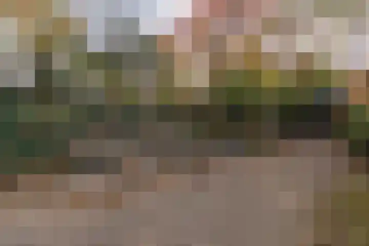 Noordwaarts 94 Zoetermeer thumbnail 32