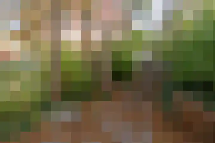 Noordwaarts 94 Zoetermeer thumbnail 33