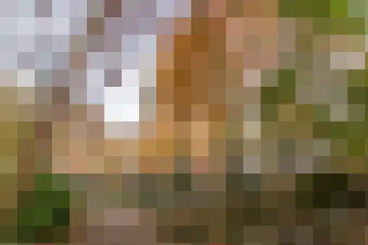Noordwaarts 94 Zoetermeer thumbnail 34