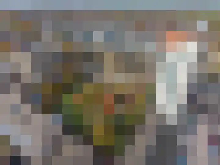 Noordwaarts 94 Zoetermeer thumbnail 36