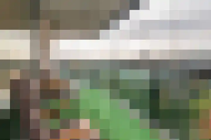 Noordwaarts 94 Zoetermeer thumbnail 8