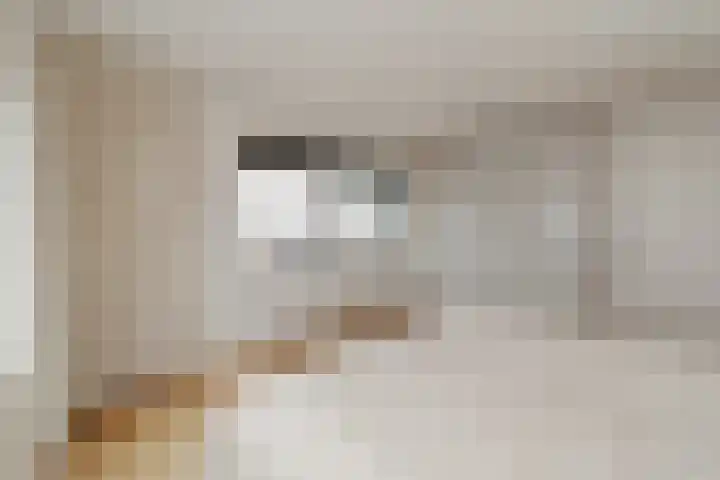Noordwaarts 96 Zoetermeer thumbnail 18