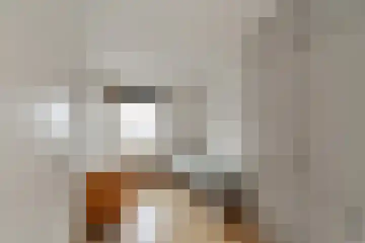 Noordwaarts 96 Zoetermeer thumbnail 22