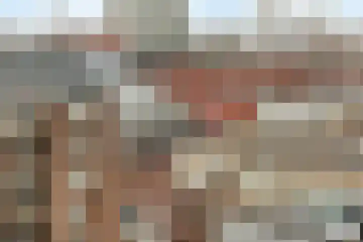 Noordwaarts 96 Zoetermeer thumbnail 36