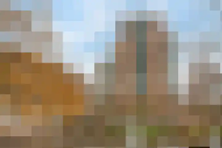 Noordwaarts 96 Zoetermeer thumbnail 38