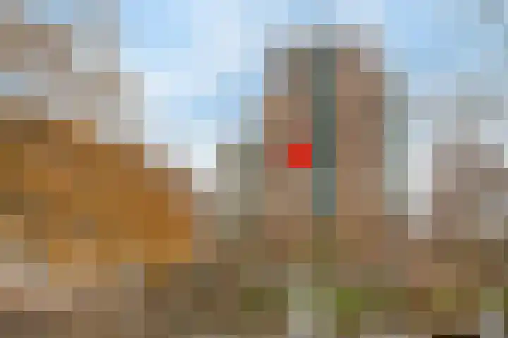 Noordwaarts 96 Zoetermeer thumbnail 39