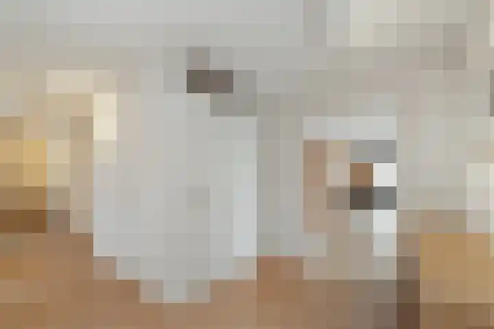 Noordwaarts 96 Zoetermeer thumbnail 6