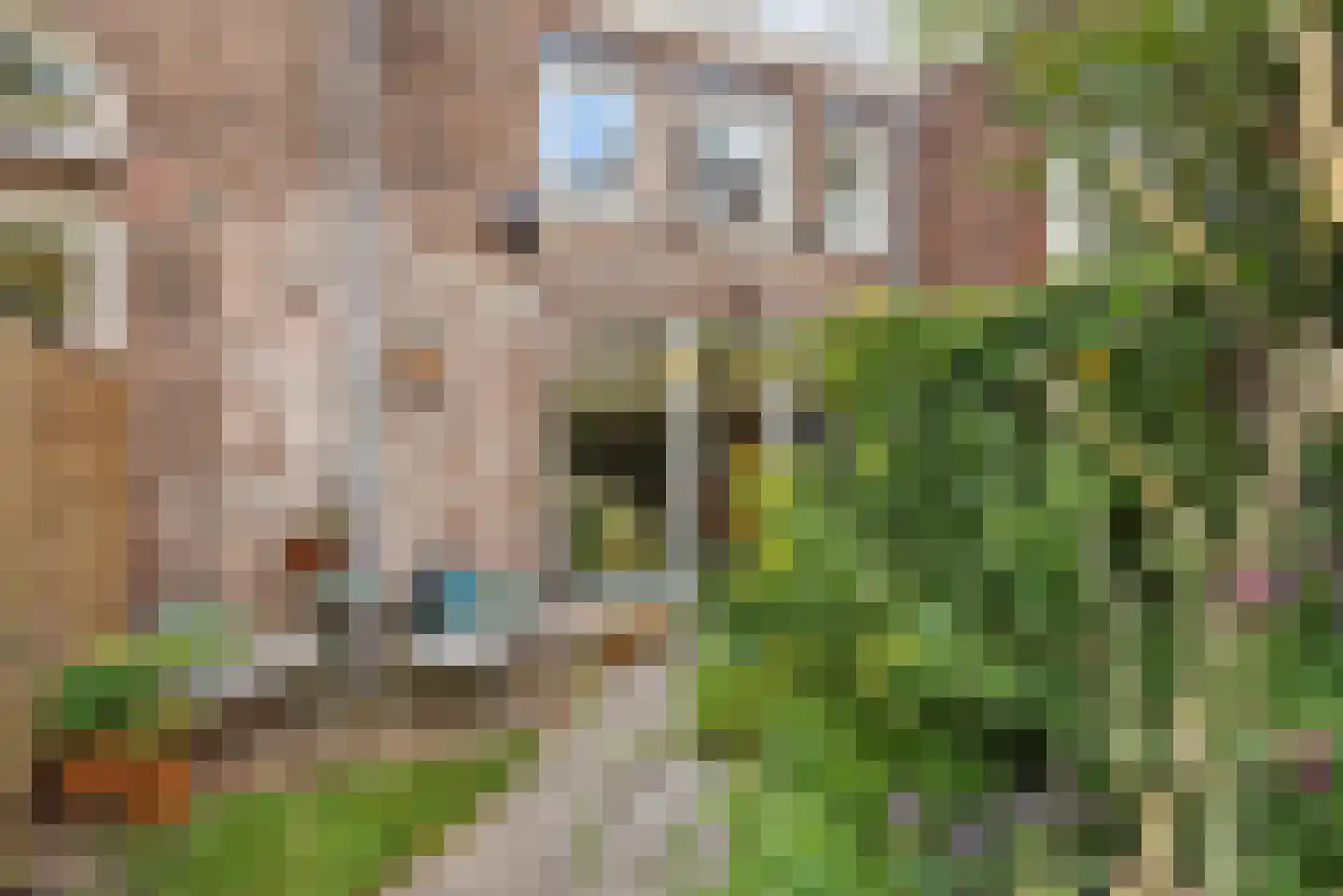 Noordwal 129 Den Haag thumbnail 37
