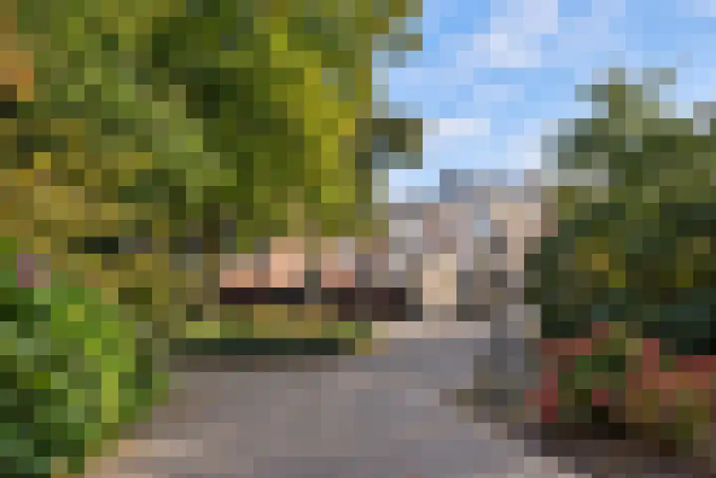 Noordwal 129 Den Haag thumbnail 62