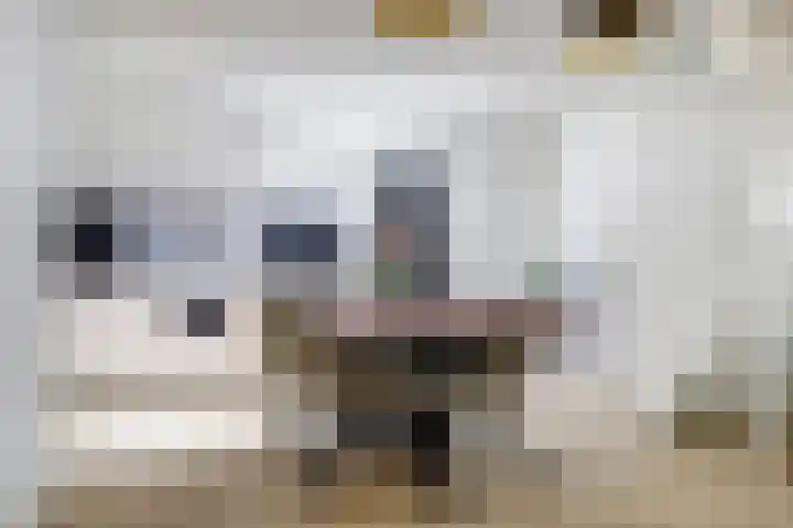 Noordwal 13 Leerdam thumbnail 10