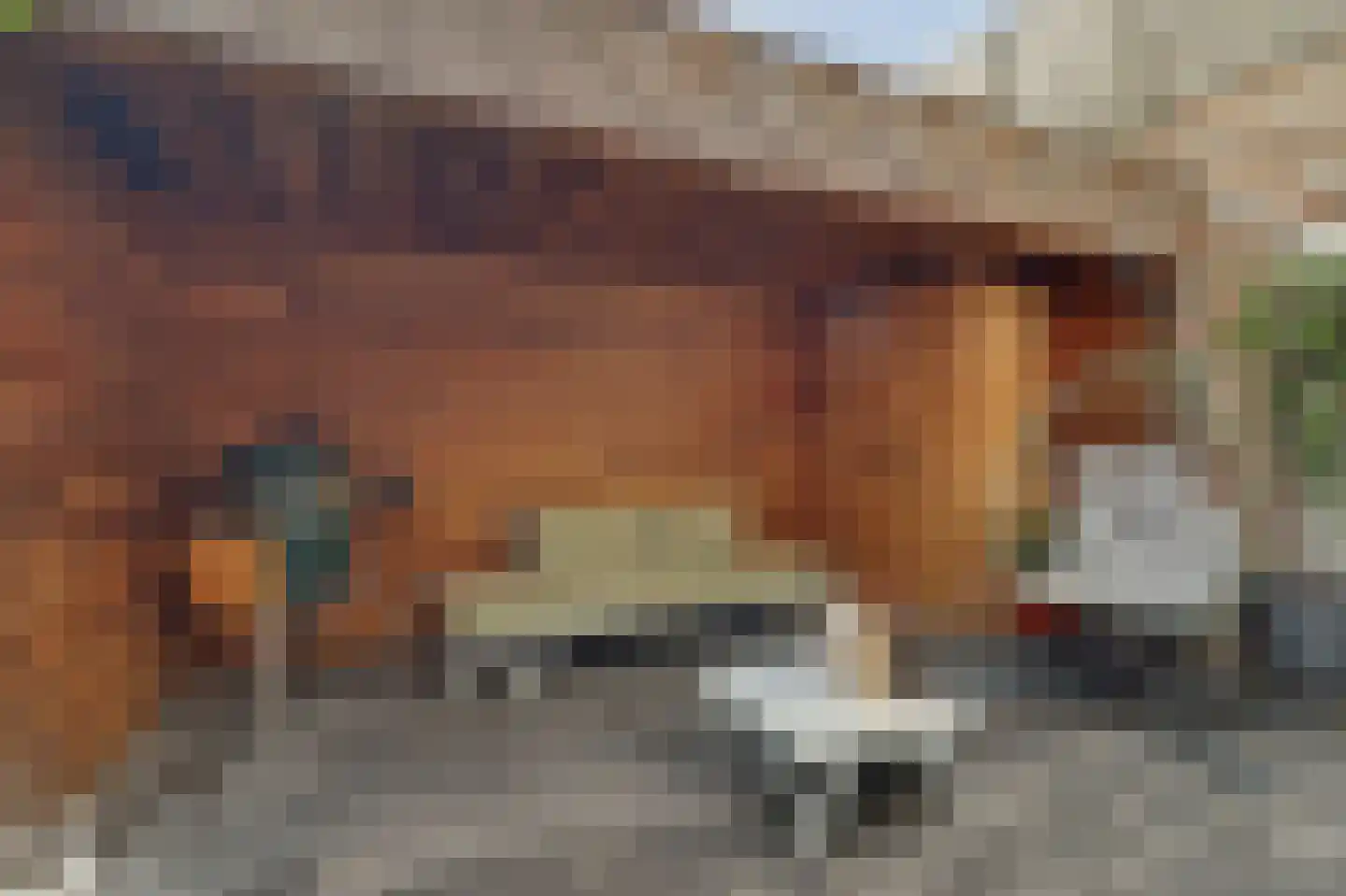 Noordwal 15 Leerdam thumbnail 39