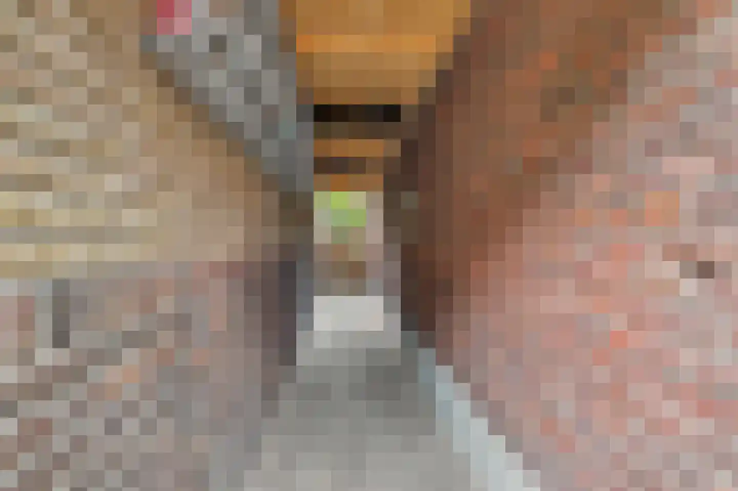 Noordwal 15 Leerdam thumbnail 6