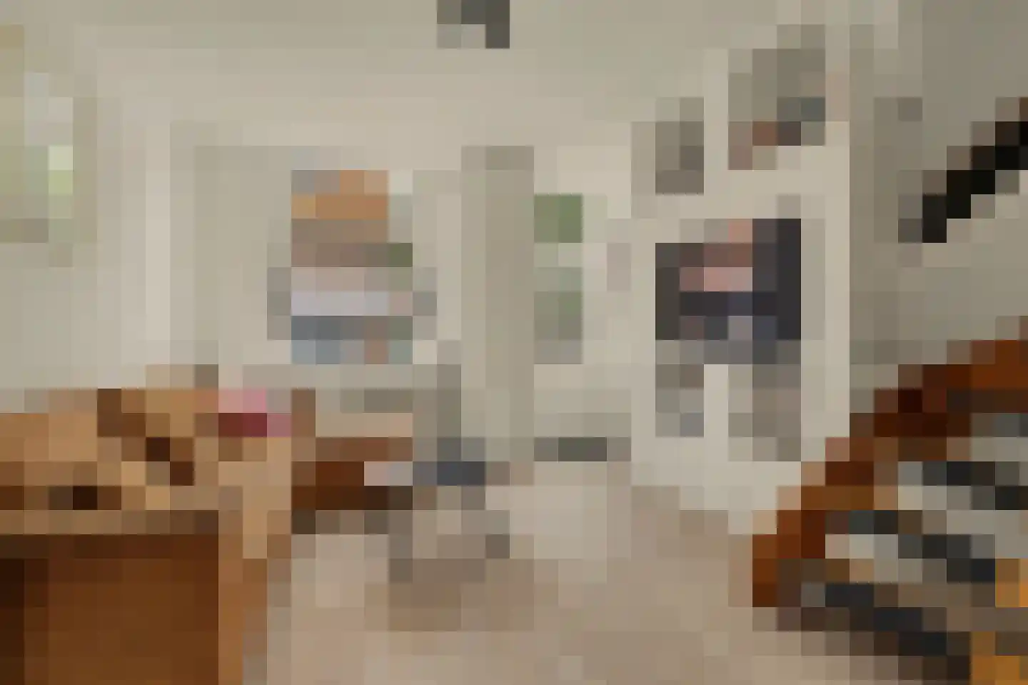 Noordwal 15 Leerdam thumbnail 7