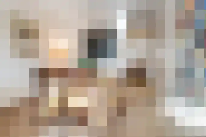 Noordwal 17 Delden thumbnail 15