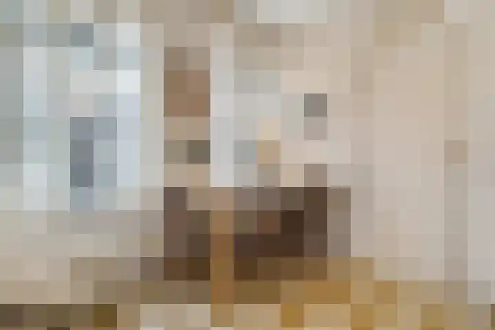 Noordwal 17 Delden thumbnail 22
