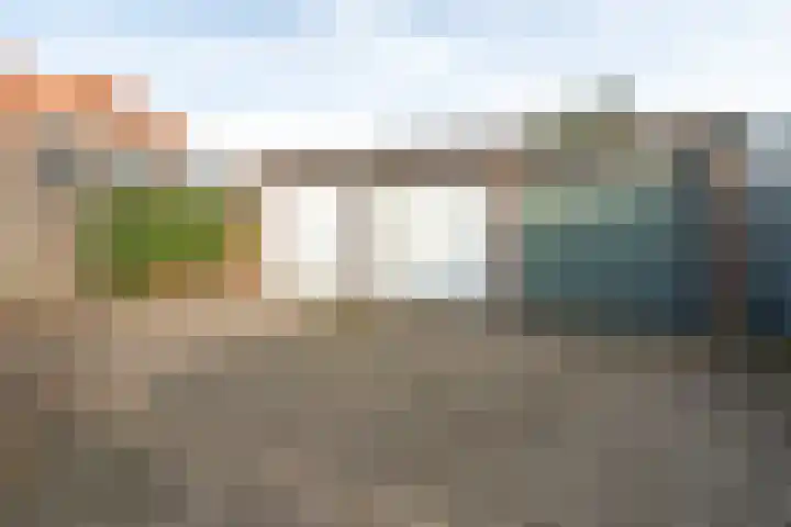 Noordwal 17 Delden thumbnail 40