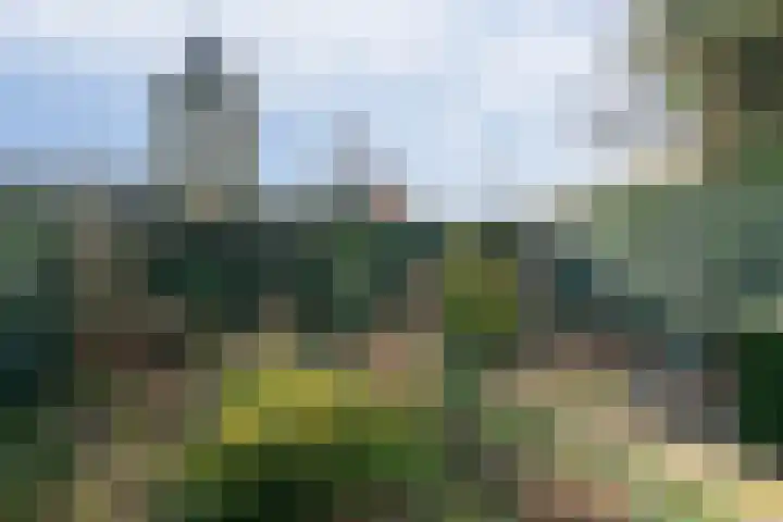Noordwal 17 Delden thumbnail 5