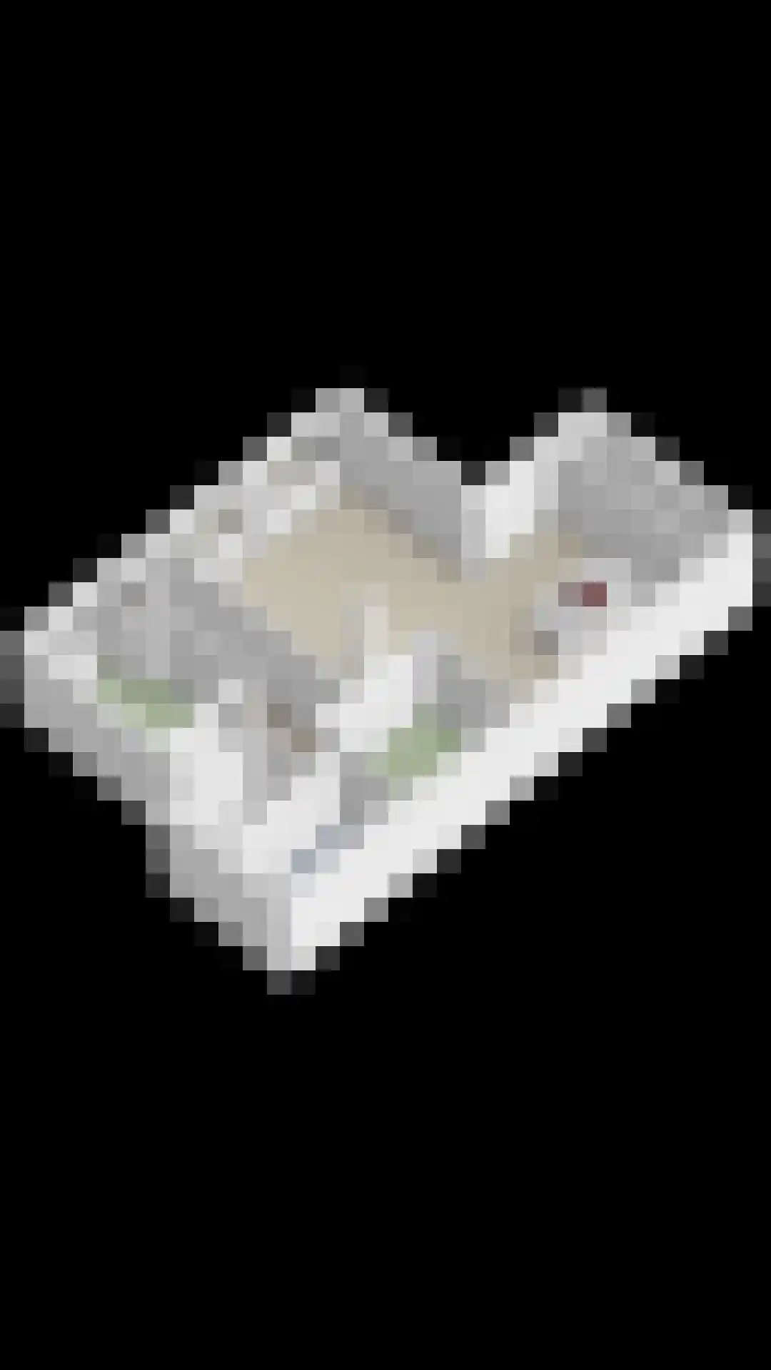 Noordwal 2 b Leerdam thumbnail 34