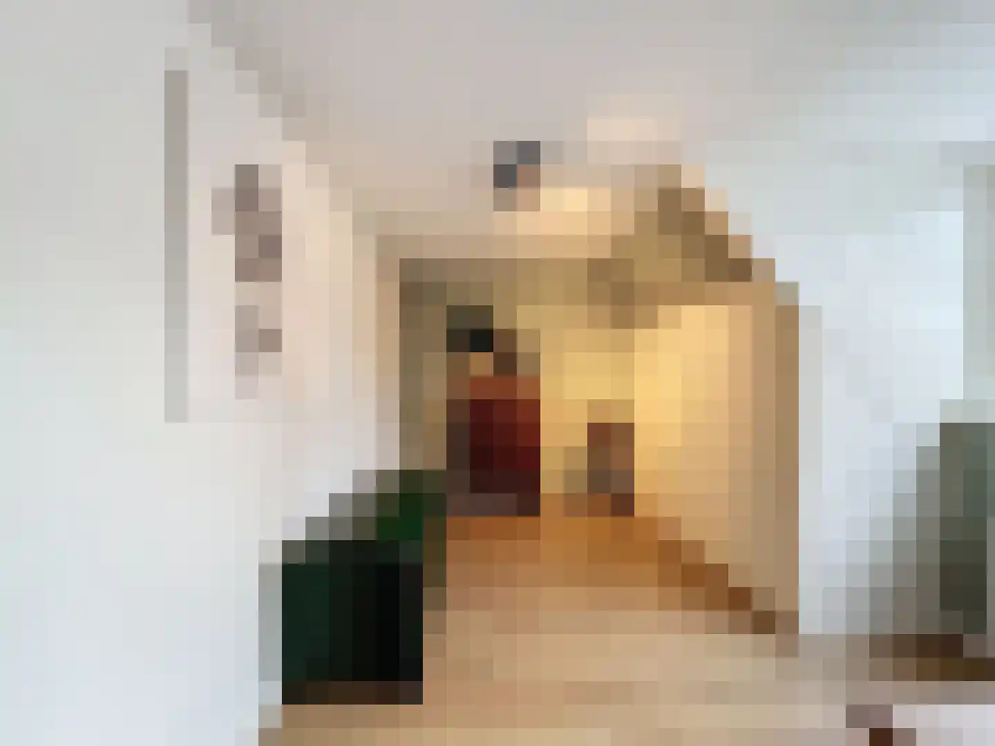 Noordwal 29 Oostburg thumbnail 20