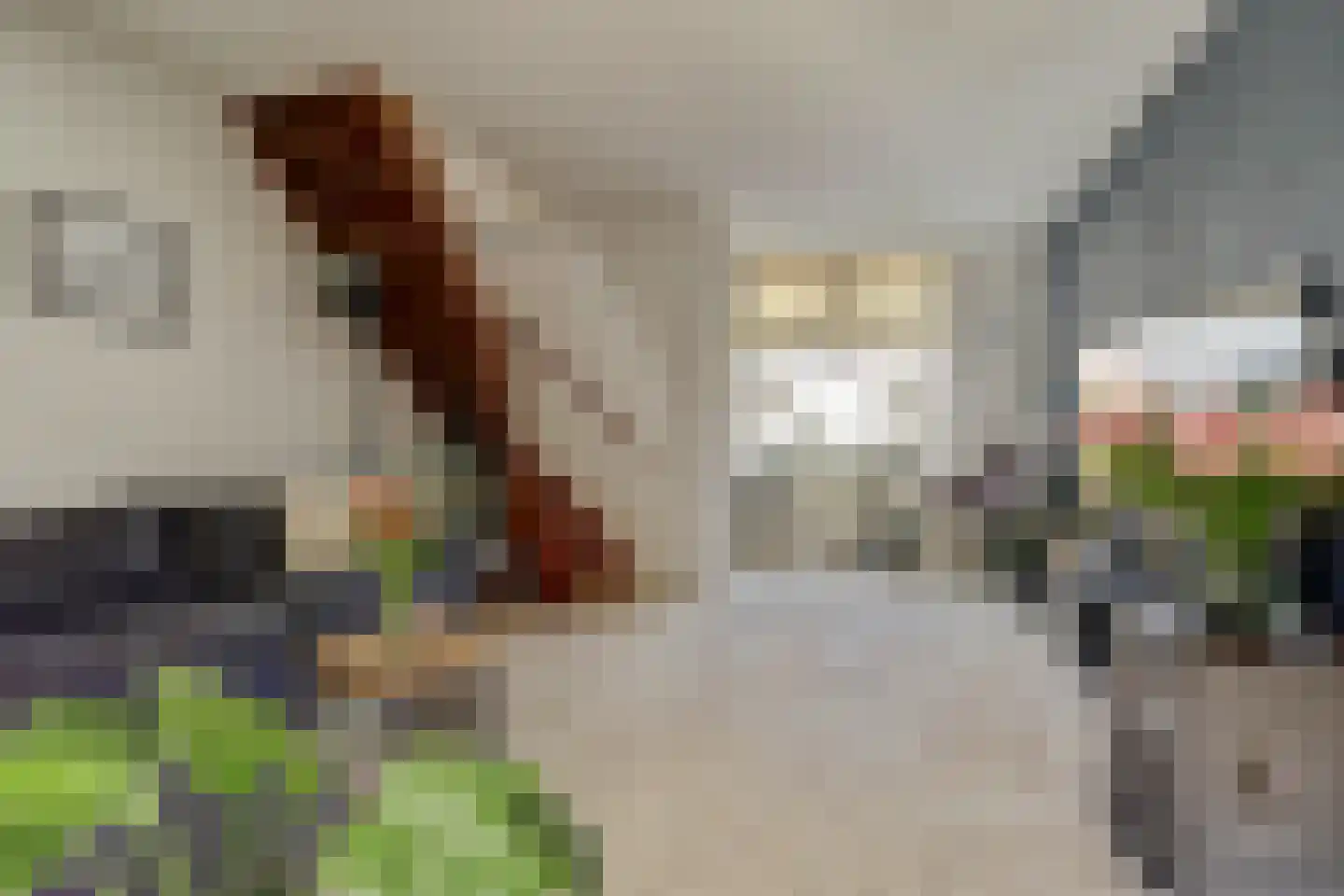 Noordwal 35 Leerdam thumbnail 7