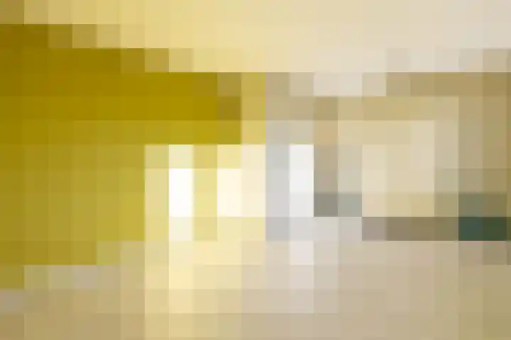 Noordwal 37 Huizen thumbnail 13