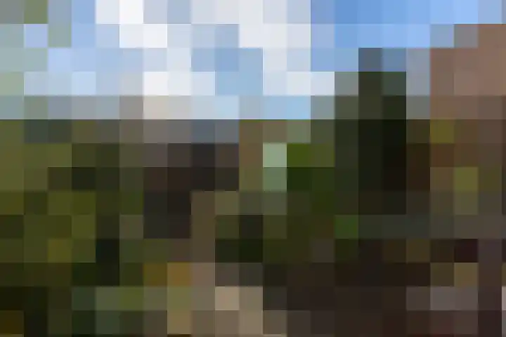 Noordwal 37 Huizen thumbnail 22