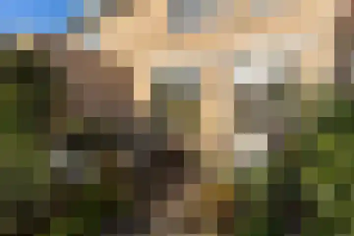 Noordwal 37 Huizen thumbnail 23