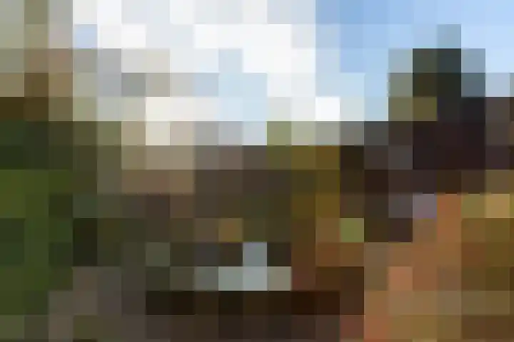 Noordwal 37 Huizen thumbnail 24