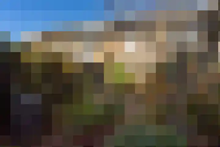 Noordwal 37 Huizen thumbnail 25
