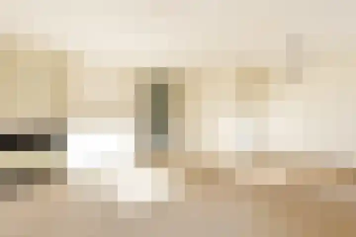 Noordwal 37 Huizen thumbnail 4