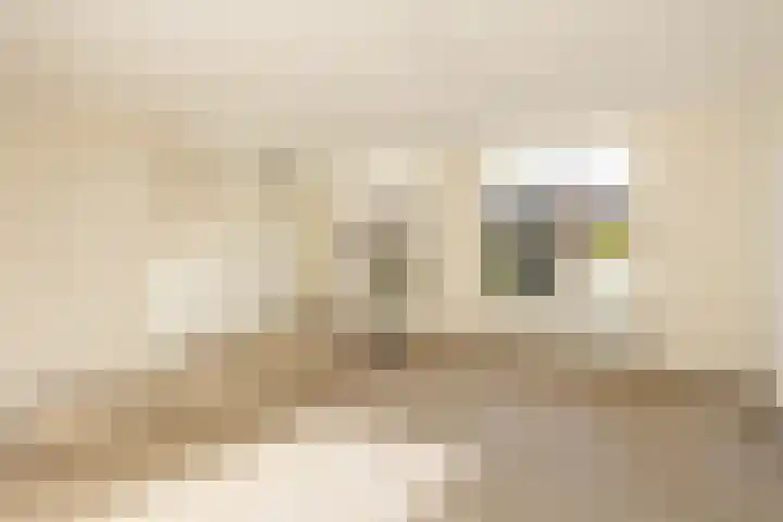 Noordwal 37 Huizen thumbnail 5