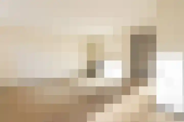 Noordwal 37 Huizen thumbnail 6